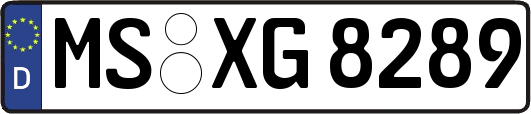MS-XG8289