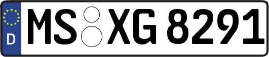 MS-XG8291