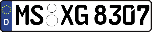 MS-XG8307