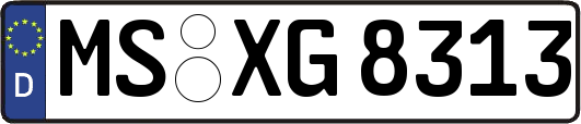 MS-XG8313