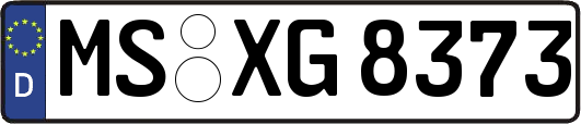 MS-XG8373