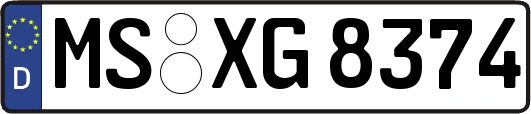 MS-XG8374