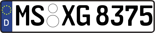 MS-XG8375