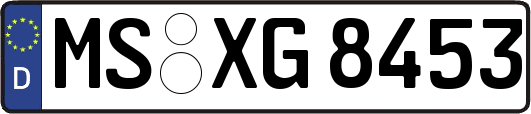 MS-XG8453