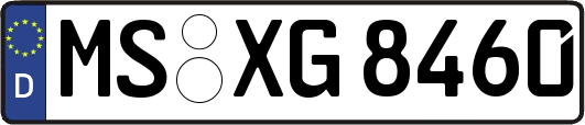 MS-XG8460