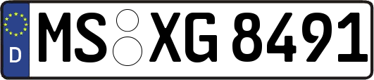 MS-XG8491
