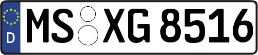 MS-XG8516