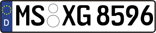 MS-XG8596