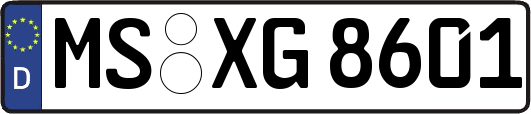 MS-XG8601