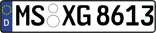 MS-XG8613