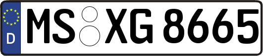 MS-XG8665