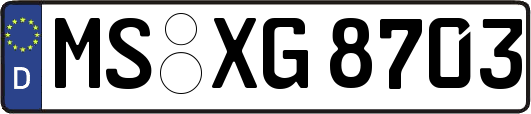 MS-XG8703