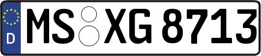 MS-XG8713