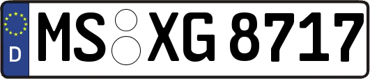 MS-XG8717