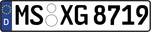MS-XG8719