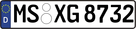 MS-XG8732
