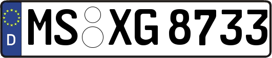 MS-XG8733