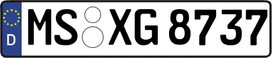 MS-XG8737