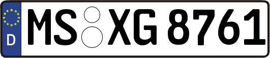 MS-XG8761