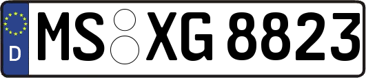 MS-XG8823