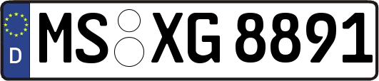 MS-XG8891