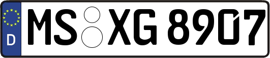MS-XG8907