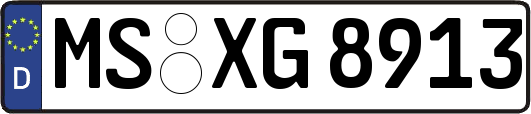 MS-XG8913
