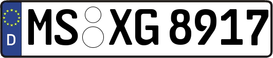 MS-XG8917