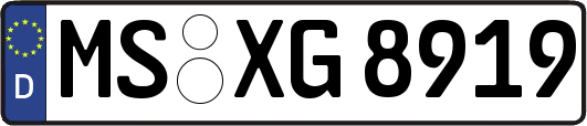 MS-XG8919