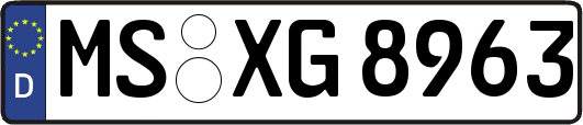 MS-XG8963