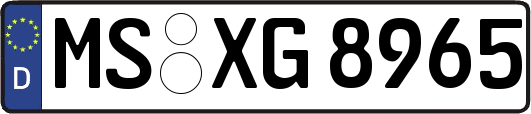 MS-XG8965