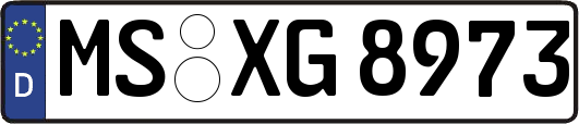 MS-XG8973