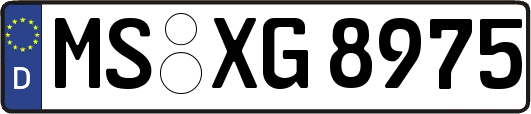 MS-XG8975