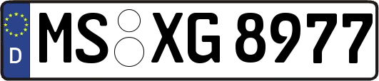 MS-XG8977