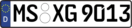 MS-XG9013