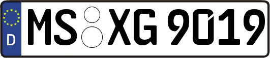 MS-XG9019