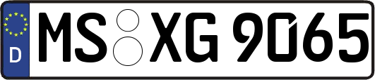 MS-XG9065