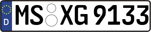 MS-XG9133
