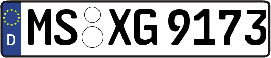 MS-XG9173