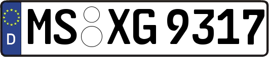MS-XG9317