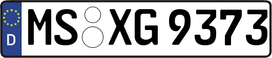 MS-XG9373