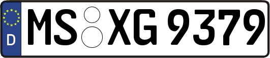 MS-XG9379
