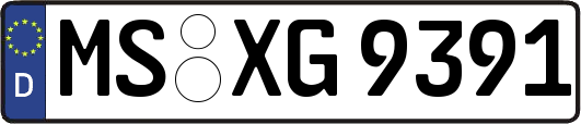MS-XG9391