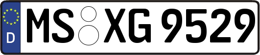 MS-XG9529