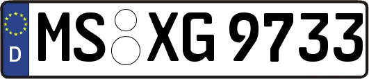 MS-XG9733