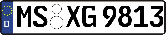 MS-XG9813
