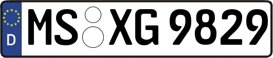 MS-XG9829