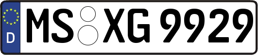 MS-XG9929