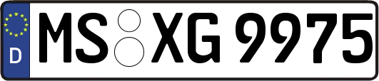 MS-XG9975