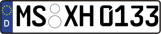 MS-XH0133